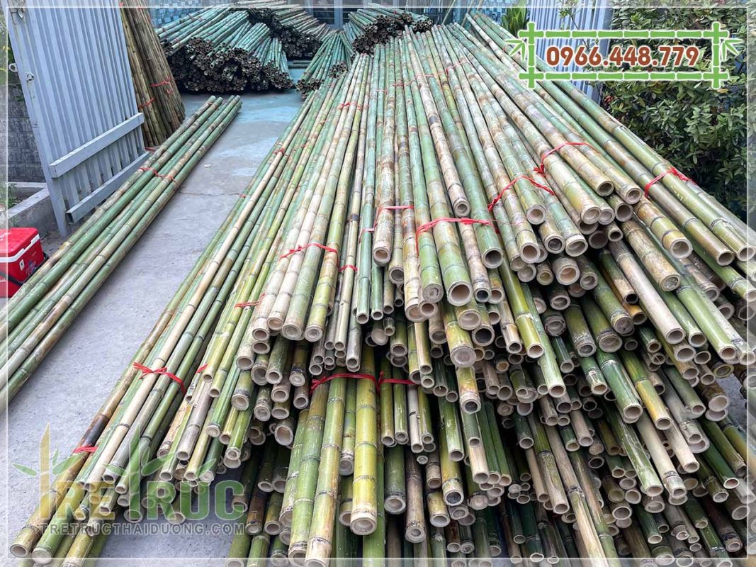 Bán Nguyên Liệu Tre Trúc Trang Trí Giá Rẻ Tại Tp.HCM