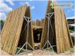 Cây trúc khô trang trí