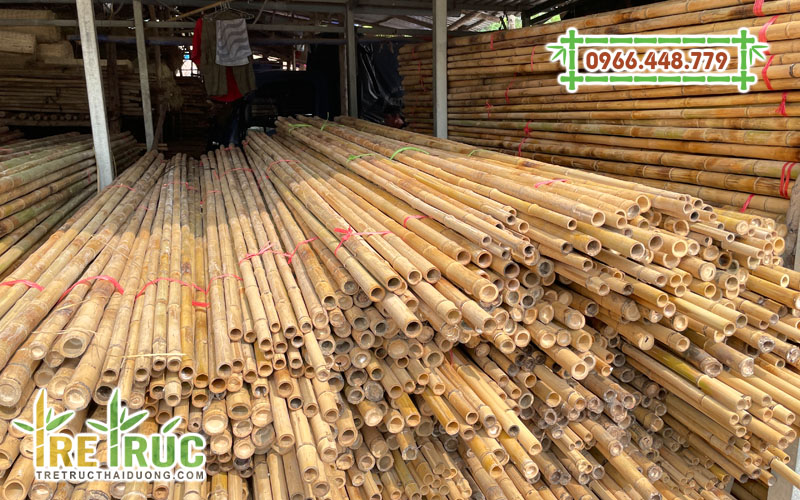 Địa chỉ bán cây trúc khô trang trí giá rẻ tại TPHCM