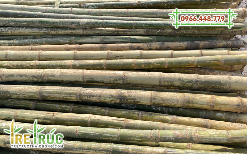 Tre luồng Thanh Hóa