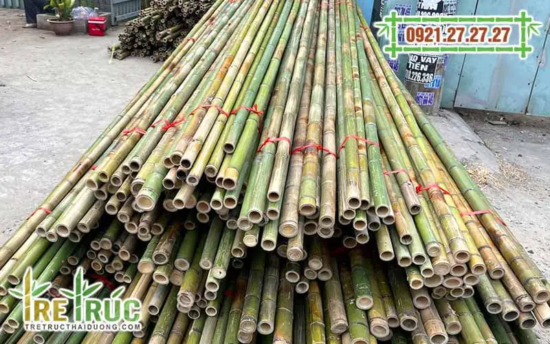 nguyen lieu tre truc op tuong