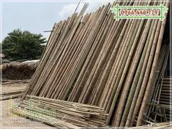 Tre khô trang trí, tre làm giàn