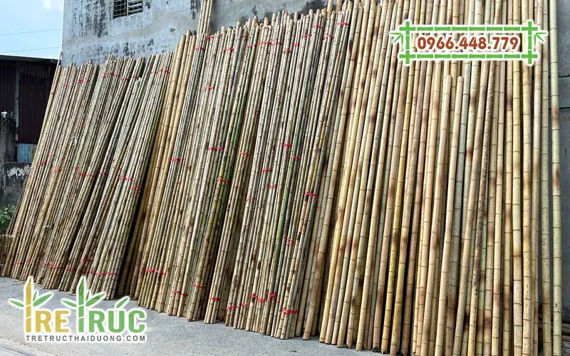 Tổng kho nguyên liệu tre trúc TPHCM - Tre Trúc Thái Dương