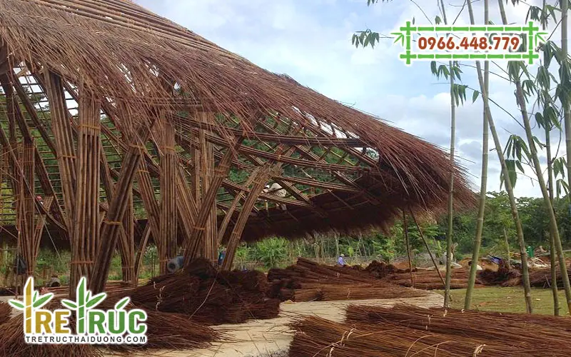 Lá guột lợp mái nhà