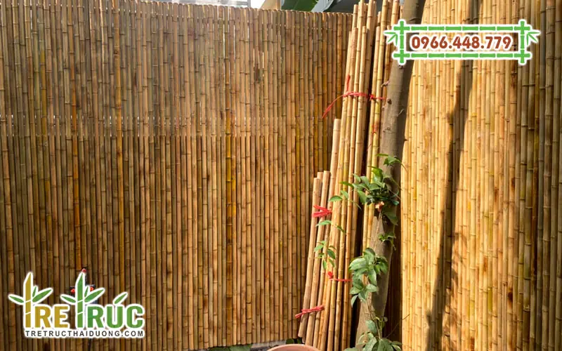Hàng rào tre trúc thật 100%