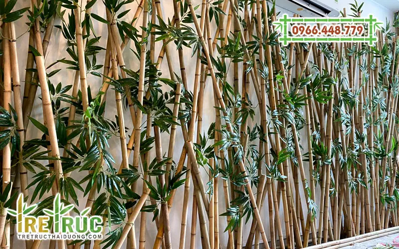 Nên chọn hàng rào tre trúc thật hay hàng rào tre trúc giả