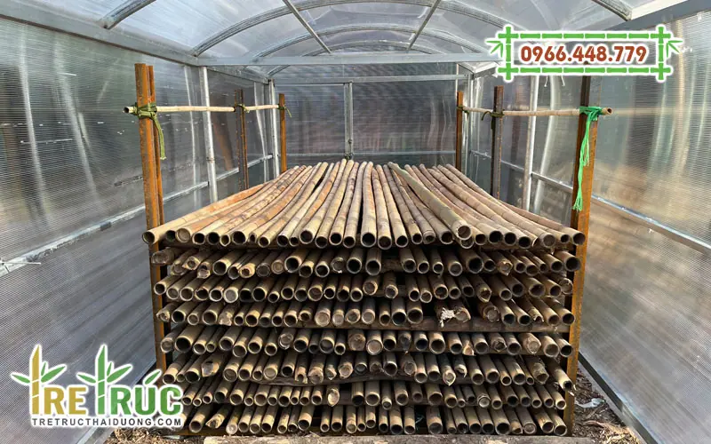 Quá trình sấy khô tre trúc