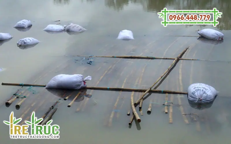 Xử lý mối mọt cho tre trúc