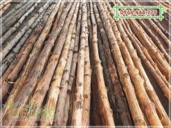 Bán cây gỗ đước làm nhà lá giá rẻ tại TPHCM