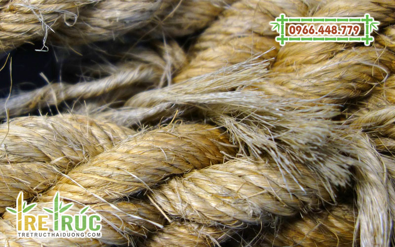 Dây thừng gai dầu