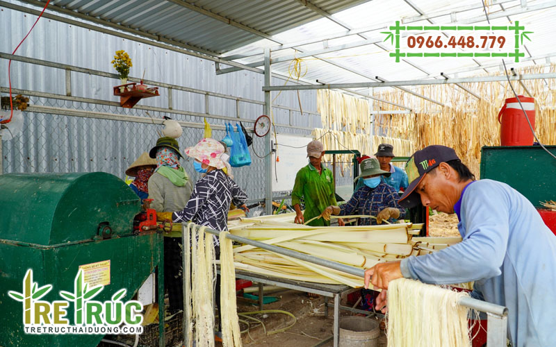 Quy trình sản xuất sợi chuối thô