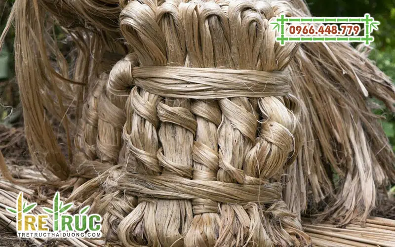 Sợi dây đay là gì